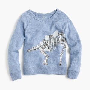 J Crew Dinosaur Sweatshirt Stegosaurus 